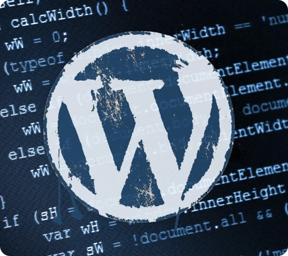 Izla Cloud - WordPress Website Services